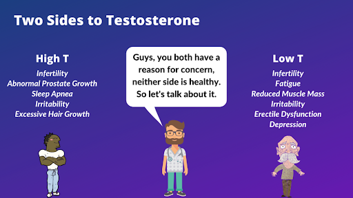 Infographic image for Testosterone